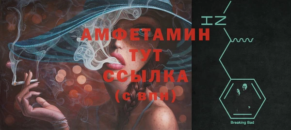 индика Верхний Тагил