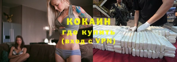 индика Верхний Тагил
