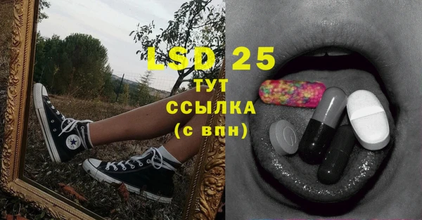 индика Верхний Тагил