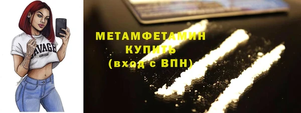 индика Верхний Тагил