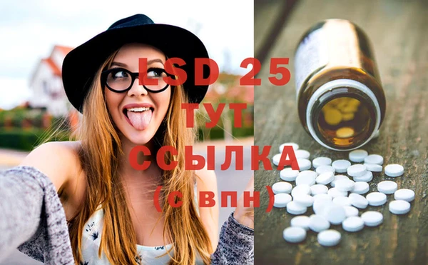 индика Верхний Тагил