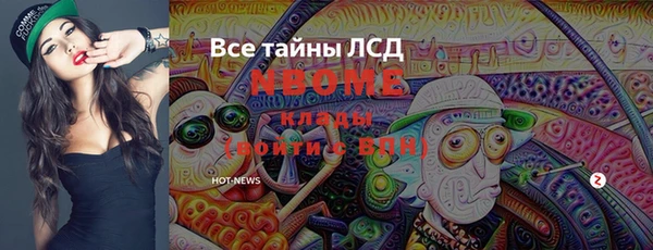 ГАЛЛЮЦИНОГЕННЫЕ ГРИБЫ Верея