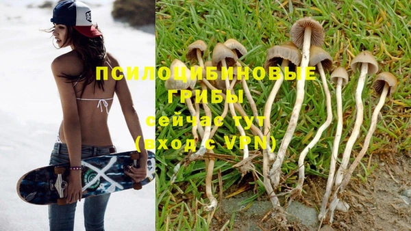 кокаин премиум Волосово