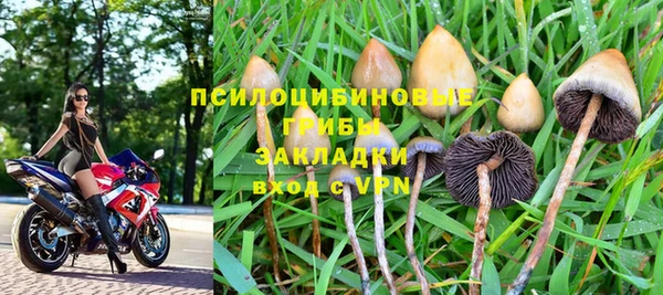 ГАЛЛЮЦИНОГЕННЫЕ ГРИБЫ Верея