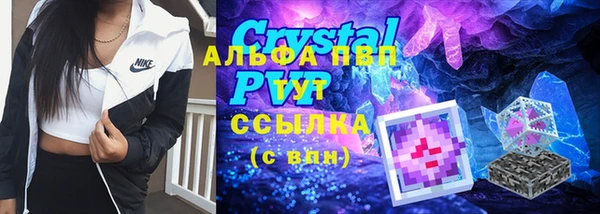 гашик Володарск
