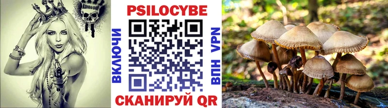 где можно купить   Ростов-на-Дону  Галлюциногенные грибы мицелий 
